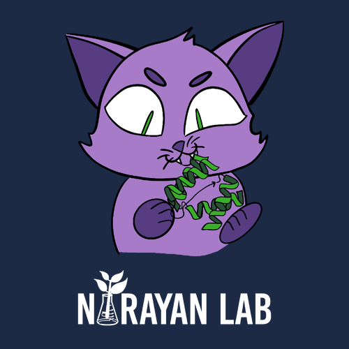 Catnip T-Shirt -- Navy