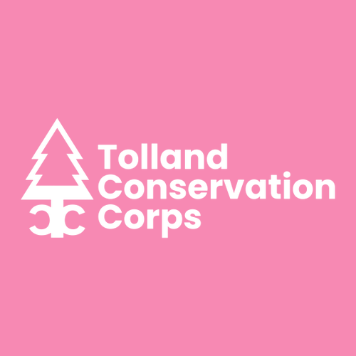 District Threads Distressed Hat -- True Pink