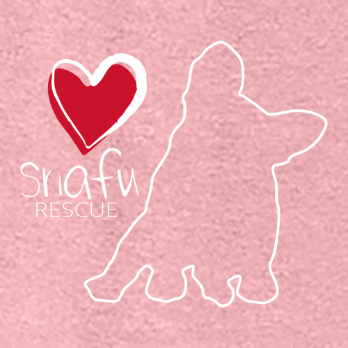 District Women's Perfect Tri Muscle Tank -- Wisteria Heather