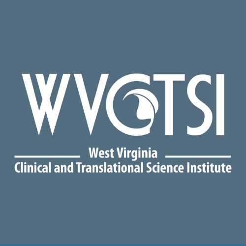 Gildan Heavy Blend Hooded Sweatshirt -- Indigo Blue