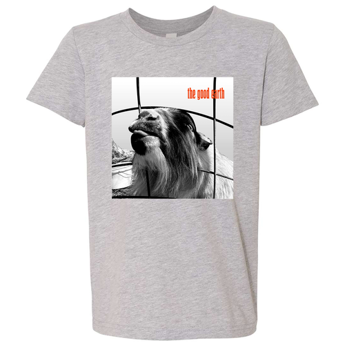YOUTH Bella Canvas Heather CVC Short Sleeve Tee -- Athletic Heather