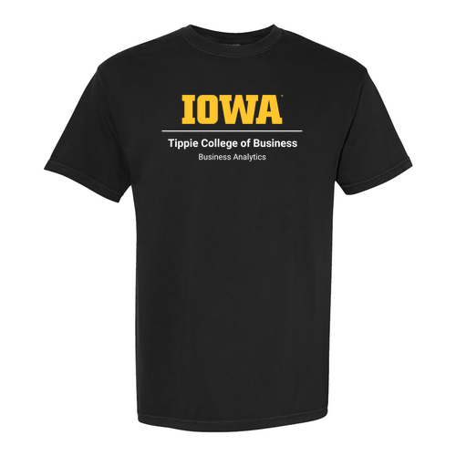 Comfort Colors Unisex Garment-Dyed Heavyweight T-Shirt -- Black