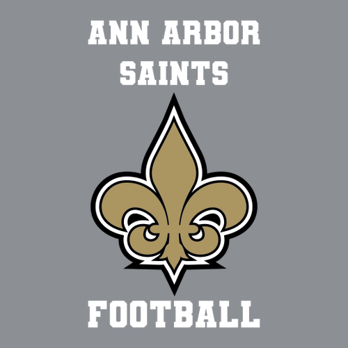 Mens/Unisex Nike Golf Dri Fit Vertical Mesh Polo -- Cool Grey