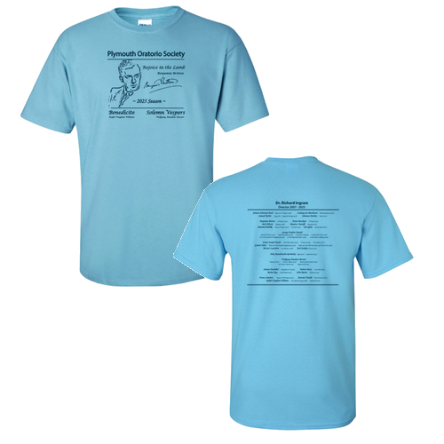 Gildan Ultra Cotton Basic T-Shirt -- Sky