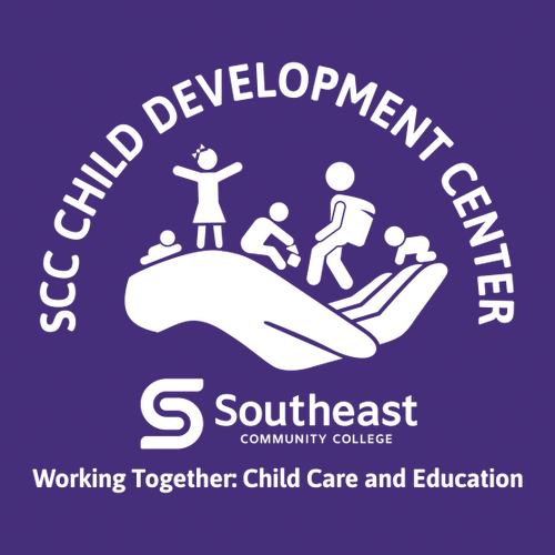 Hanes Perfect-T Ring Spun T-Shirt -- Purple