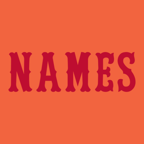 Bella Canvas Unisex Jersey T-Shirt -- Orange