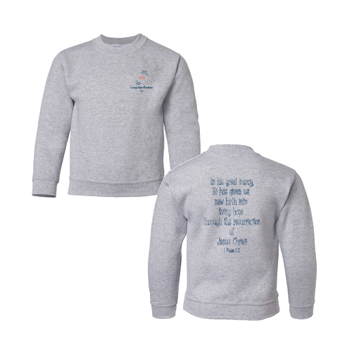 Youth Heavy Blend Crew Neck Sweatshirt -- Sport Grey