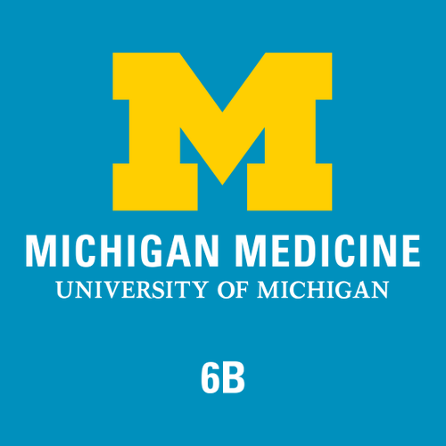 Gildan Heavy Cotton Basic T-Shirt -- Sapphire