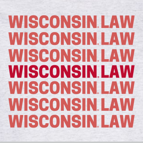 WISCONSIN LAW Hoodie—Ash