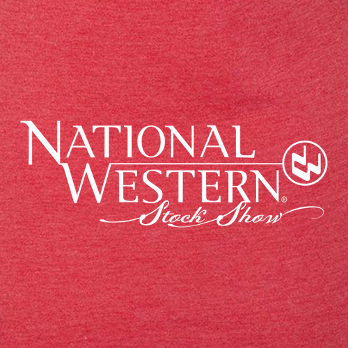 Next Level Apparel Ladies Tri Blend Crew -- Vintage Red
