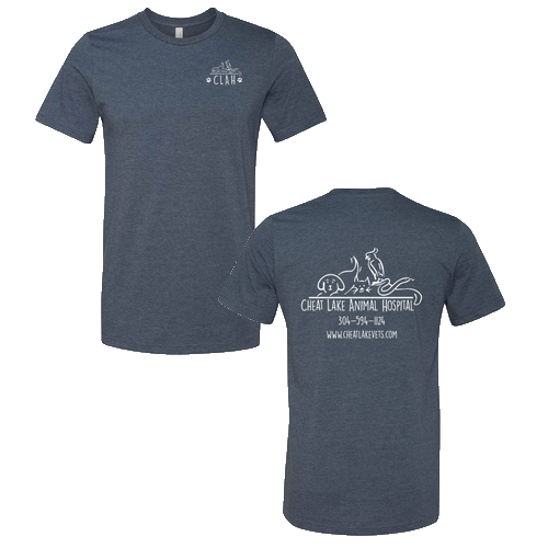 Bella Canvas Unisex Heather CVC T-Shirt -- Heather Navy