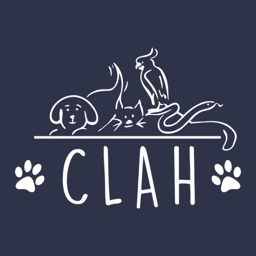 Next Level Mens CVC Crew -- Midnight Navy