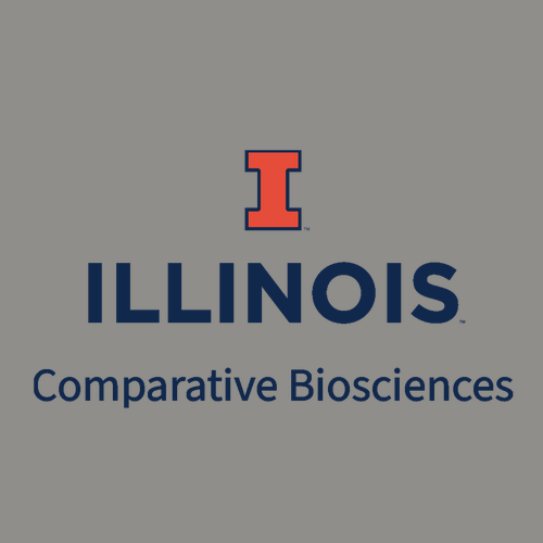 Comfort Colors Ringspun Long Sleeve Tee -- Grey