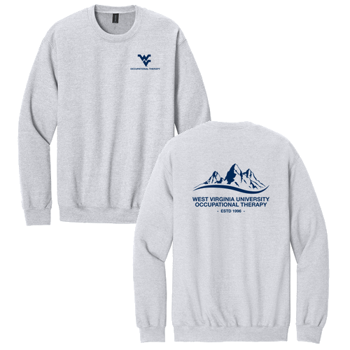 Gildan Adult Softstyle Fleece Crew Sweatshirt -- Ash Grey