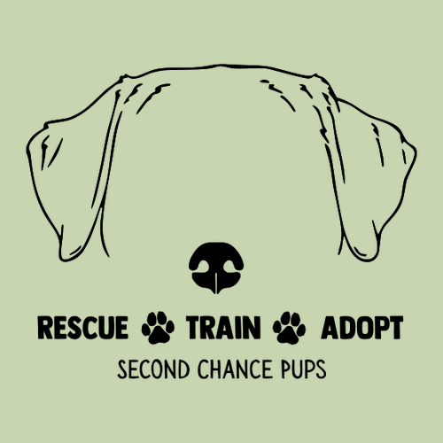 American Apparel Heavyweight Cotton Unisex Long Sleeve T-Shirt -- Celadon