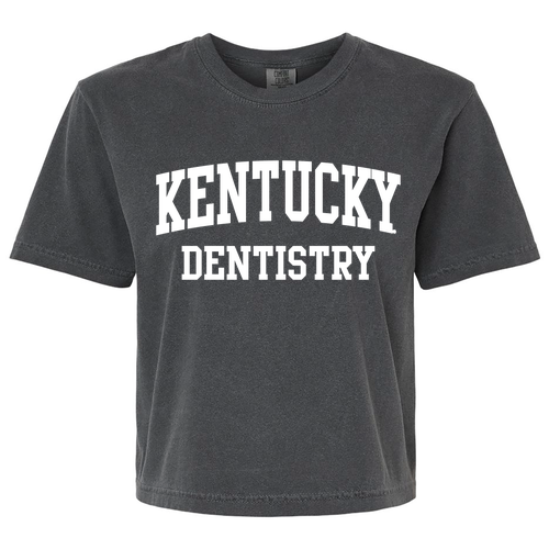 Comfort Color Lady's Heavyweight Boxy Tee -- Pepper