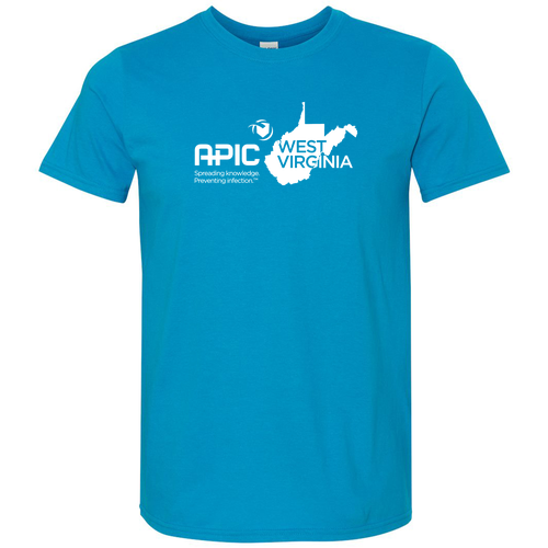 Gildan SoftStyle T-Shirt -- Sapphire