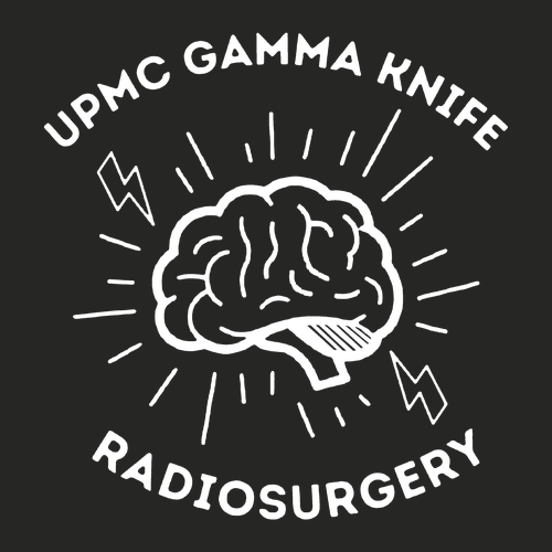 Gildan SoftStyle T-Shirt -- Black