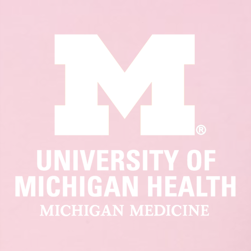 Hanes Authentic Short Sleeve T-Shirt -- Pink