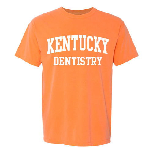 Comfort Colors Ringspun Garment Dyed T Shirt -- Melon