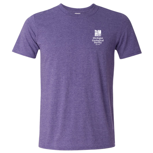 Gildan SoftStyle T-Shirt -- Heather Purple