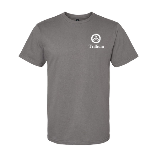 GIldan Softstyle Midweight T-Shirt -- Charcoal