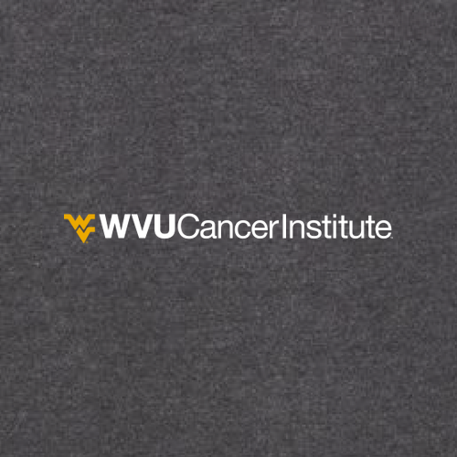 Charles River Womens Heathered Fleece Pullover -- Charcoal Heather