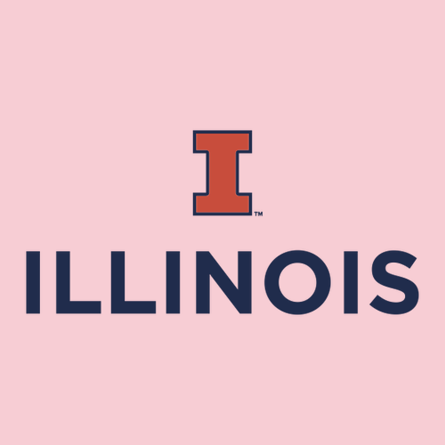 Gildan Heavy Blend Crew Neck Sweatshirt -- Light Pink