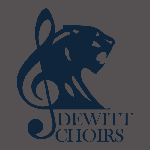 Gildan SoftStyle T-Shirt -- Charcoal