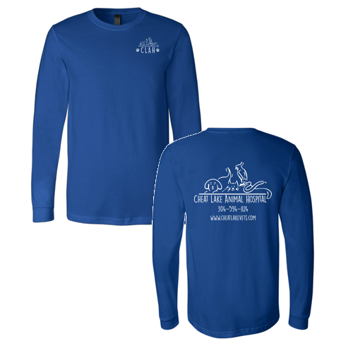 Bella Canvas Unisex Jersey Longsleeve Tee -- True Royal
