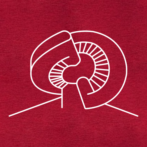 Gildan Heavy Cotton Basic T-Shirt -- Antique Cherry Red