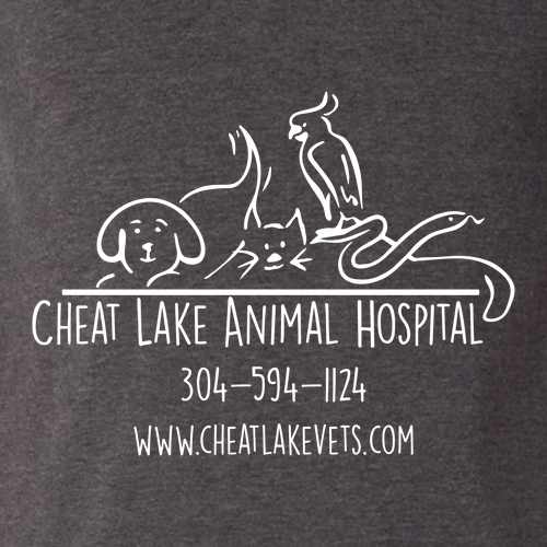 Bella+Canvas Unisex Heather Cvc Long Sleeve Tee- Heathers -- Dark Grey Heather