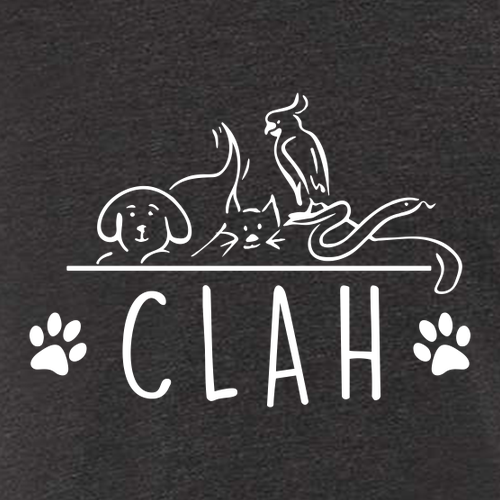 Bella+Canvas Unisex Heather Cvc Long Sleeve Tee- Heathers -- Dark Grey Heather
