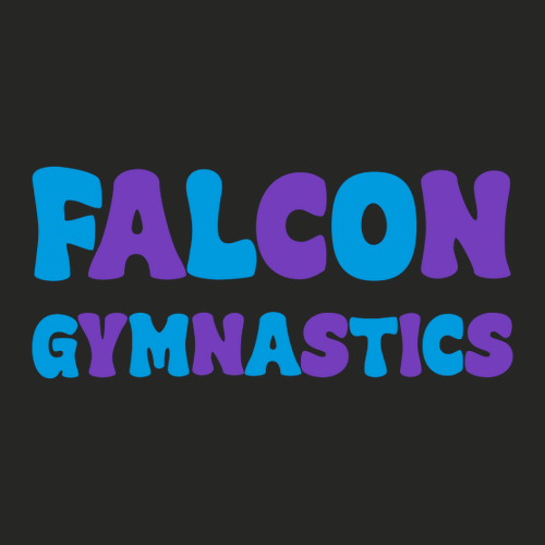 Gymnast Era Hooded Sweatshirt -- Black