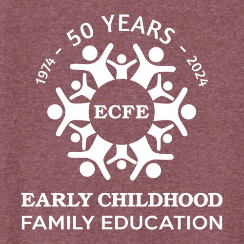 District Womens Re-Tee V-Neck -- Maroon Heather