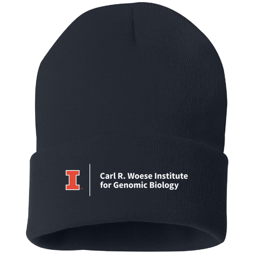 Sportsman Solid 12" Cuffed Beanie -- Navy