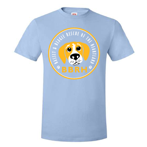 Hanes Perfect-T Ring Spun T-Shirt -- Light Blue