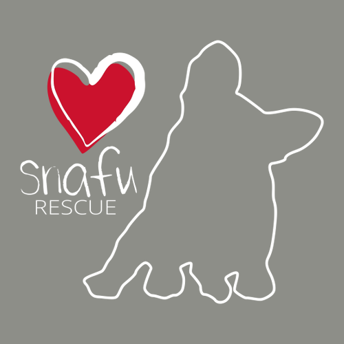 Comfort Colors Ringspun Long Sleeve Tee -- Grey