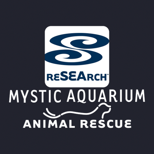 Mystic Aquarium Animal Rescue Program Hat (Navy)