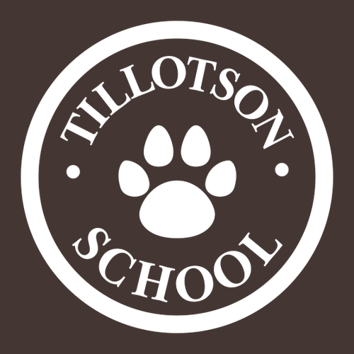 Gildan Ultra Cotton Longsleeve Basic T-Shirt -- Dark Chocolate