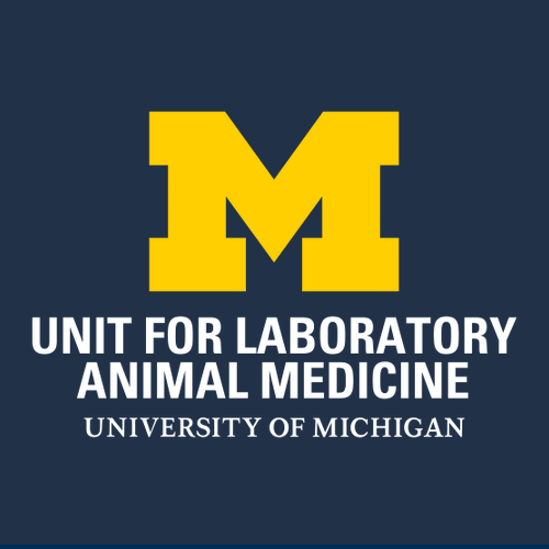 Ladies Port Authority Silk Touch Sport Shirt. -- Navy