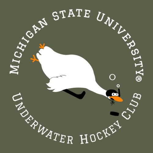 Gildan SoftStyle T-Shirt -- Military Green