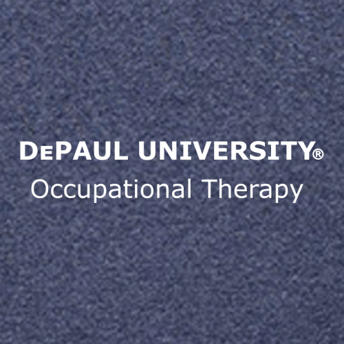 Champion 9 oz., 50/50 EcoSmart Pullover Hood -- Navy Heather