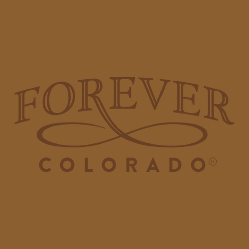 Carhartt Watch Hat 2.0 -- Carhartt Brown