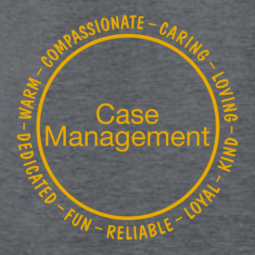 Gildan SoftStyle T-Shirt -- Dark Heather