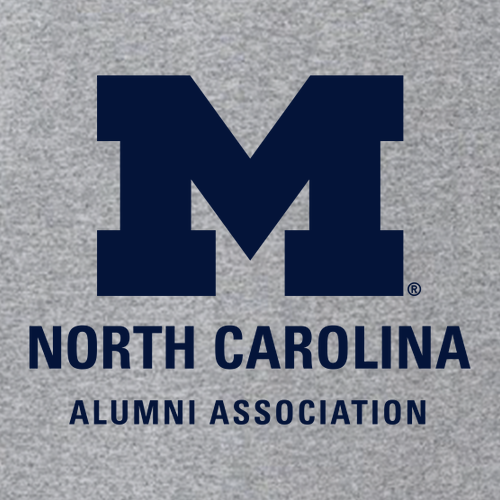 Ladies Next Level Soft Fitted Ideal V-Neck -- Heather Grey