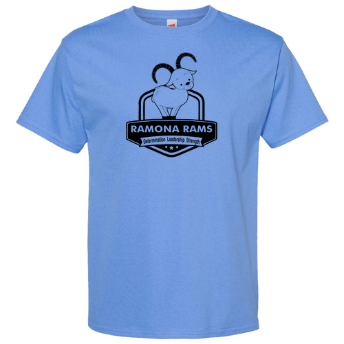 Hanes Essential ComfortSoft Short Sleeve Tee -- Carolina Blue