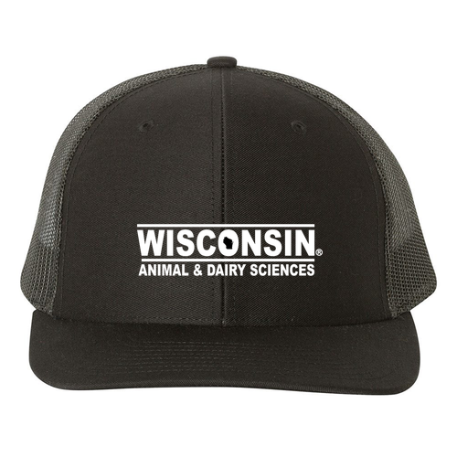 Richardson Snapback Trucker Cap -- Black