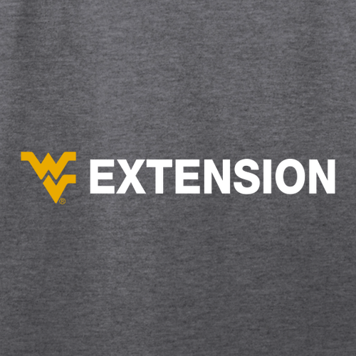 Extension District Women's Flex Scoop Neck Tee -- Heathered Charcoal
