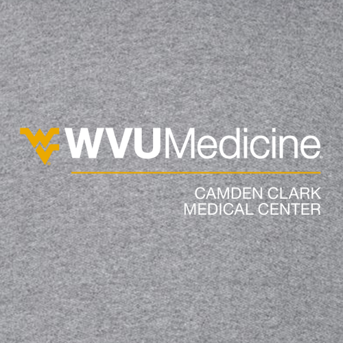 Gildan Heavy Cotton Longsleeve Basic T-Shirt -- Graphite Heather